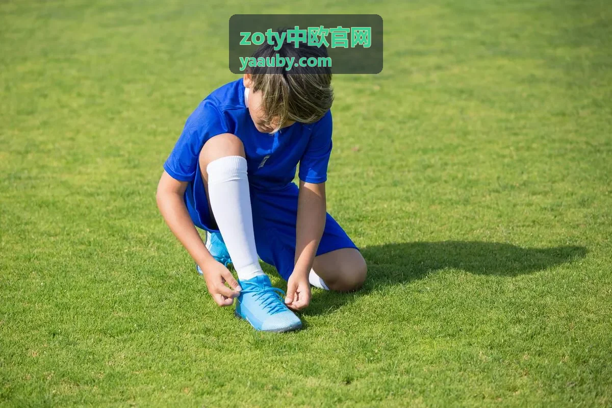 zoty中欧官网行业研究简报资料示意